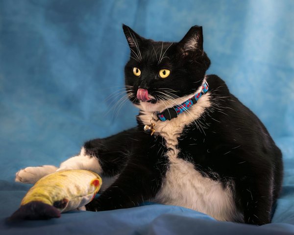 What Are the Best Practices for Small Businesses to Secure Intellectual Property?