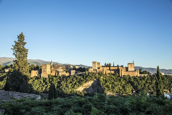 What Are the Best Ways to Handle a Pet's Separation Anxiety?