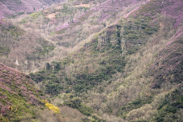 What Are the Best Practices for Small Business Succession Planning?